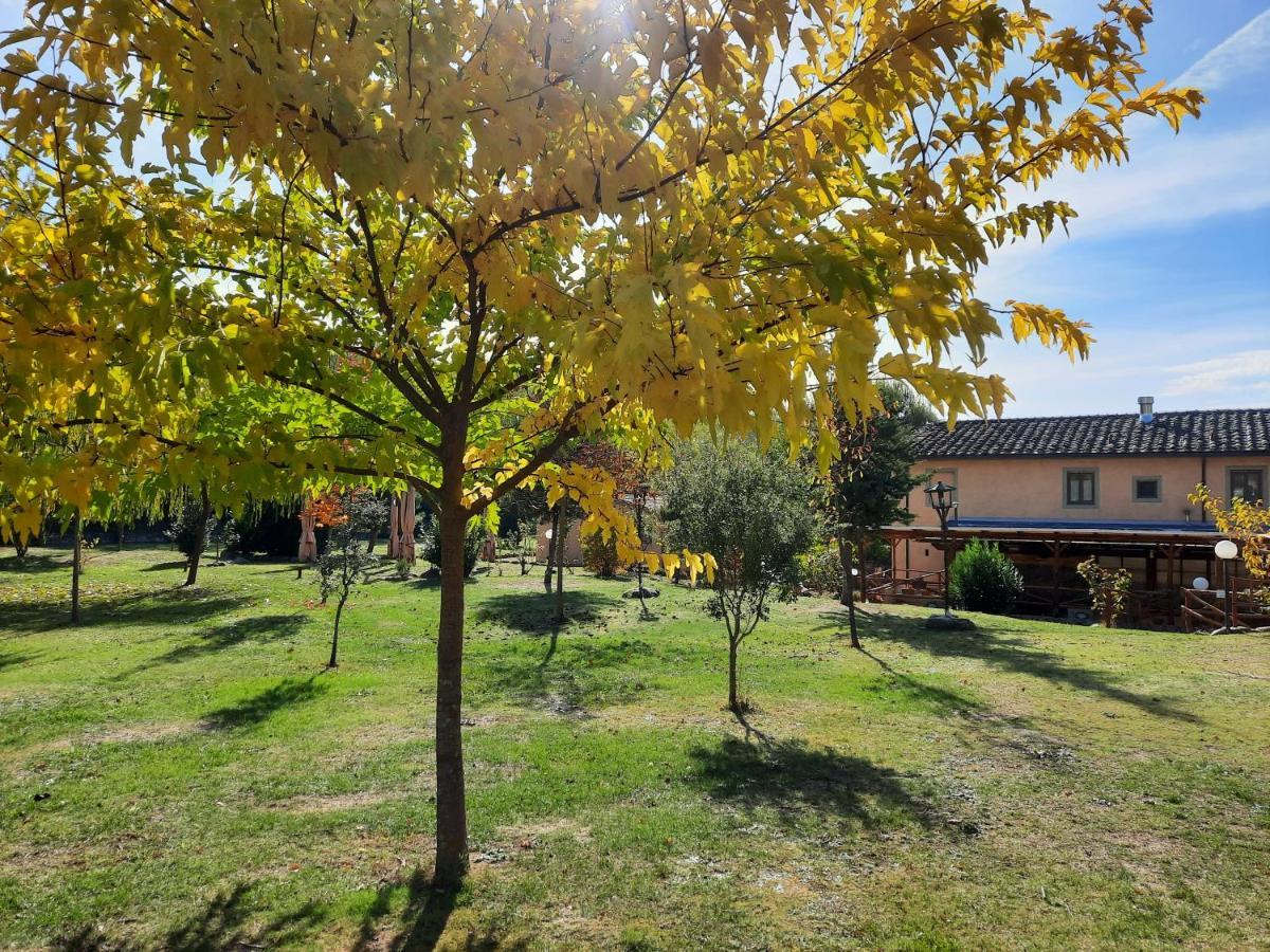 Sassomatto B&B Bioagriturelax Campogialli Luaran gambar